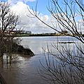 IMG_0230