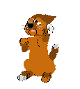 chat_071