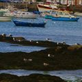 2010-09-14_144813