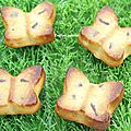 Gateau moelleux au chocolat blanc amandes et chocolat au lait