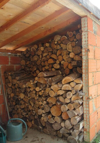 52 semaines en photos 2019 - bois