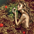 Pomme d'amour