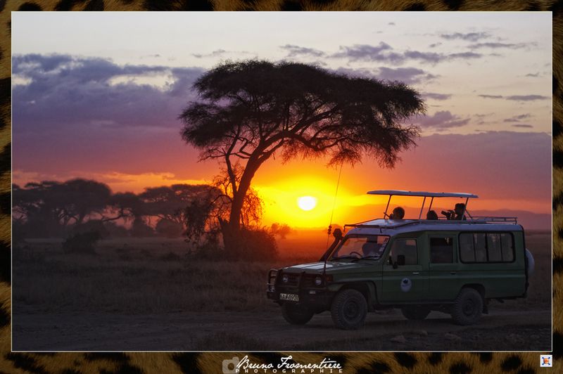 Safari_spirit_A