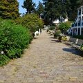 San Juan Island Roche Harbor Promenade