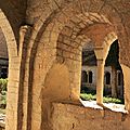 IMG_2080
