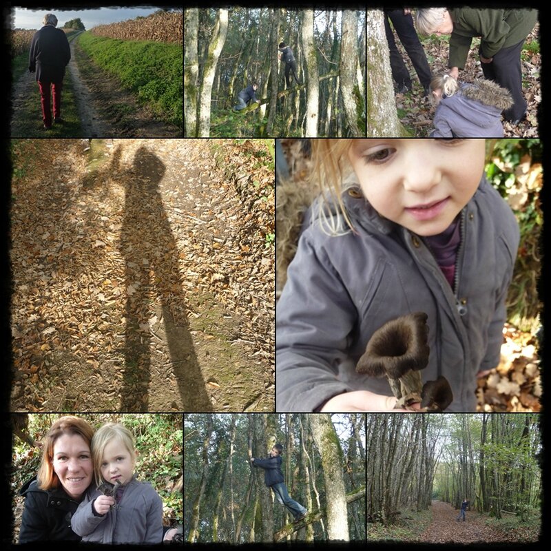 foret