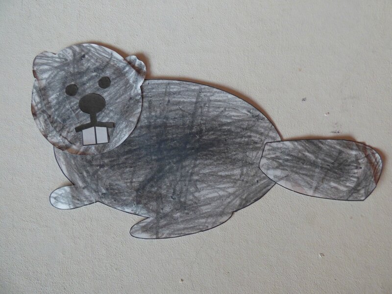 Castor 3