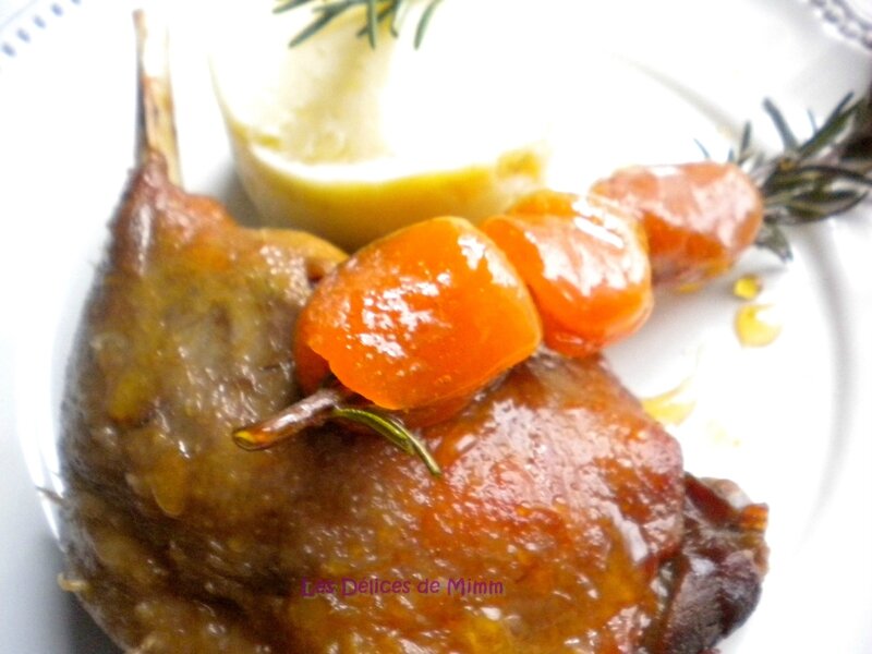Canard confit aux abricots moelleux 5