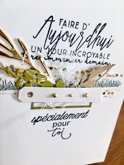 image3 (1)