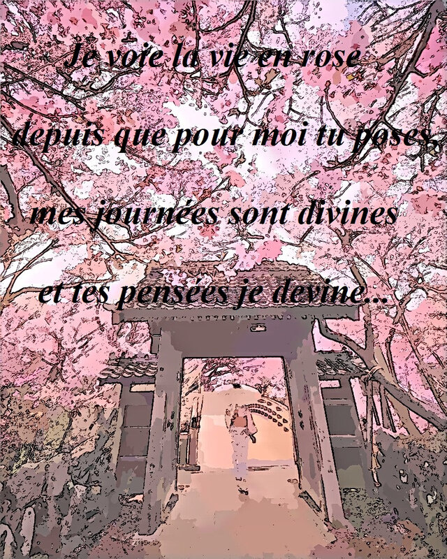 La vie en rose... Amour de Sms