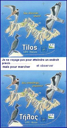 TILOS_WALK_Birds