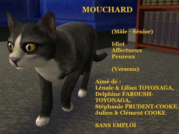 MOUCHARD