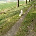 DSC06242