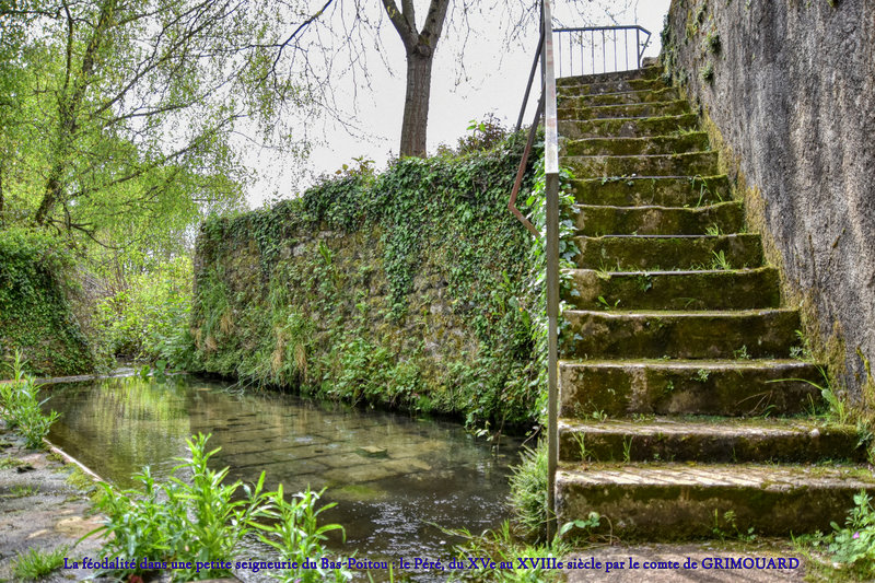 La féodalité dans une petite seigneurie du Bas-Poitou le Péré, du XVe au XVIIIe siècle par le comte de GRIMOUARD