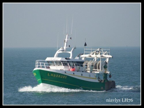 retour-au-port-pour-le-beluda-et-le-te-reva-photos-du-havre-du-port