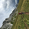 IMG_8206