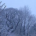 Dimanche... hiver... février...