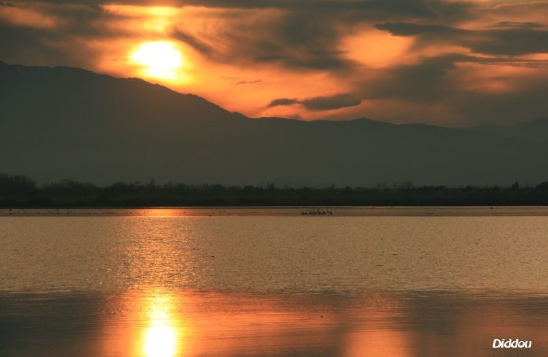 Coucher De Soleil Canet En Roussillon Les Photos De Didier