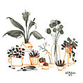 Nature morte