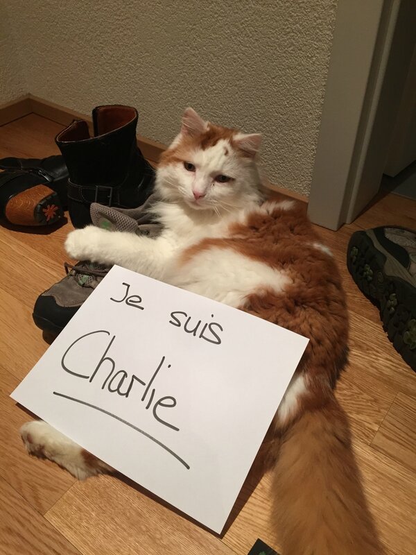 Je suis Charlie 2