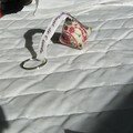 porte- clefs berlingot