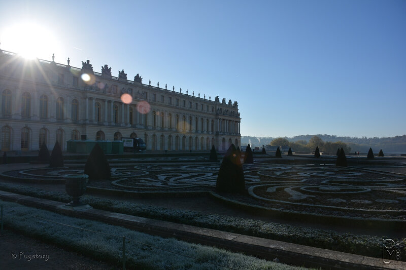 PUY_5050
