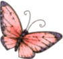 Butterfly1b2