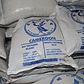  le riz camerounais tient sa chance 