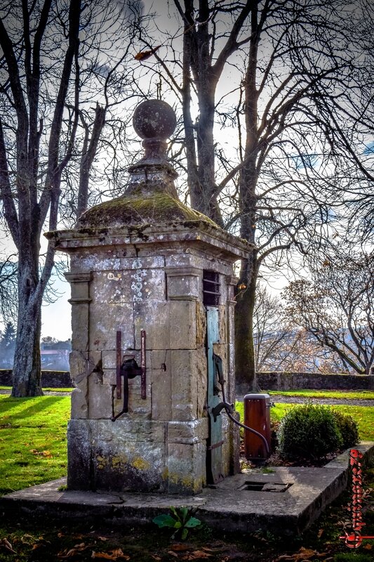 Vouvant mervent Les Compagnons d'Armes de Jeanne d'Arc Jean, Bâtard d'Orléans (4)
