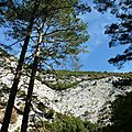 P1120762 (2)
