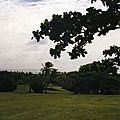 GWAD_029
