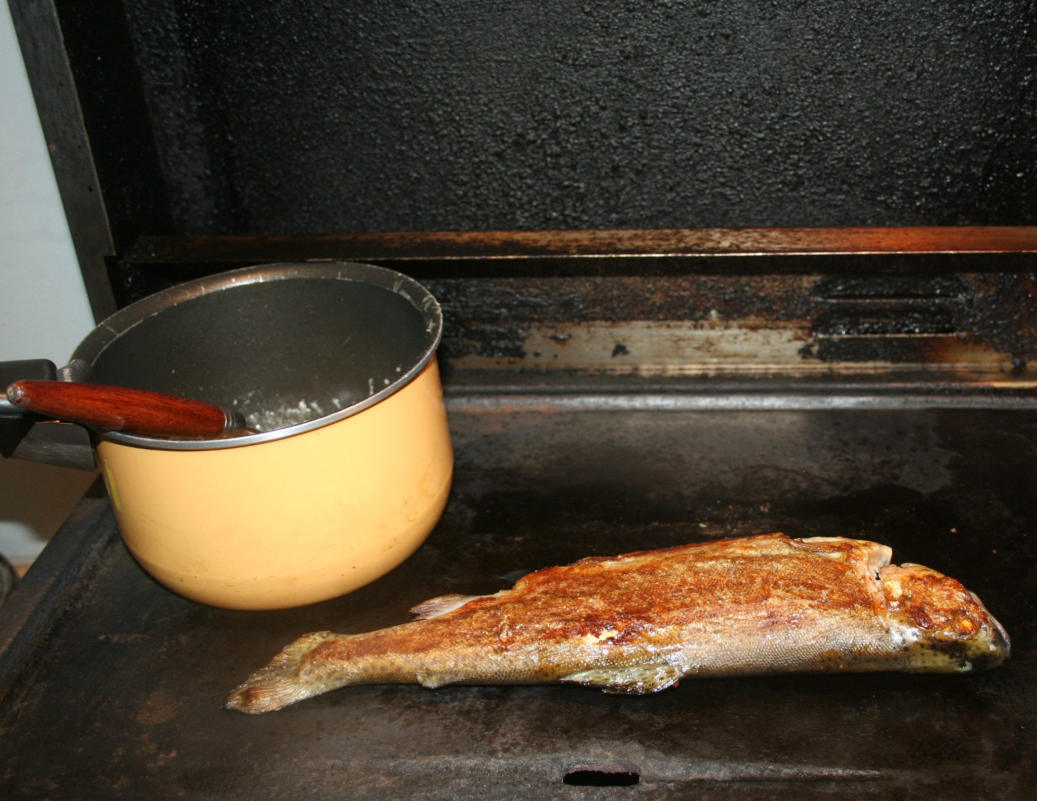 Truite à la plancha sauce bleu de brebis et gratin de chou-fleur - amafacon
