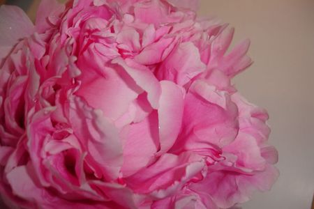 DSC04663