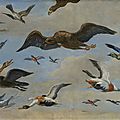 Jan van kessel (anvers 1626 – 1679), étude d’oiseaux sur fond de ciel