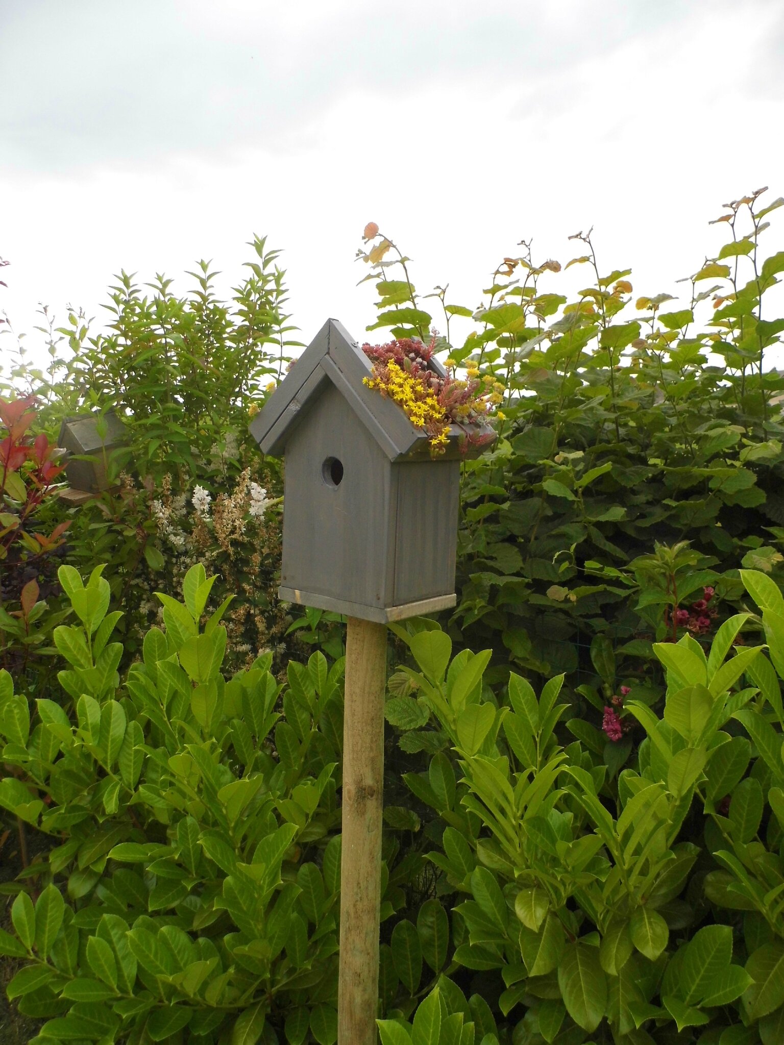 DIY jardin : fabriquer une mangeoire en bois pour les oiseaux - Marie Claire