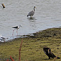 IMG_8979
