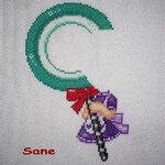 04 Sane
