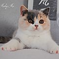 _DSC0600