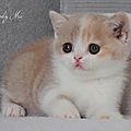_DSC0729