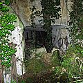IMGP7532