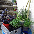 20190530_175555