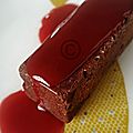Gâteau mousse au chocolat glacé