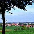 IMGP3735