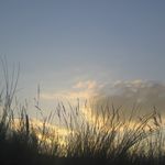 ciels__259_