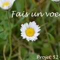 Projet 52 - semaine 14 - fais un voeu