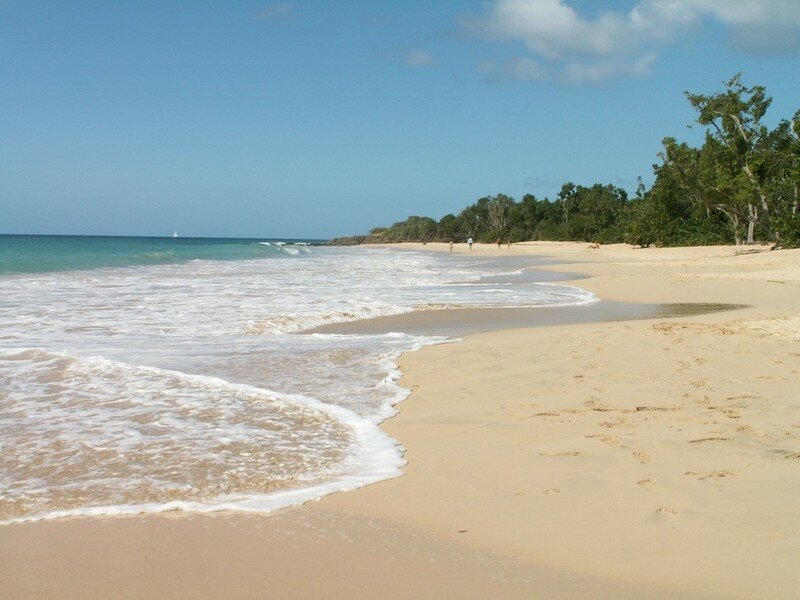 Plage Des Salines Sainte Anne Photo De Voyage En Martinique Decembre 07 Frederic Laval Conseiller Departemental Des Hautes Pyrenees