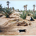 Image (19)