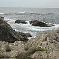 DSC08487 - Copie