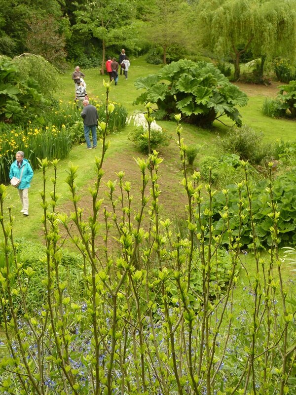 jardin12