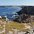IMG_8429